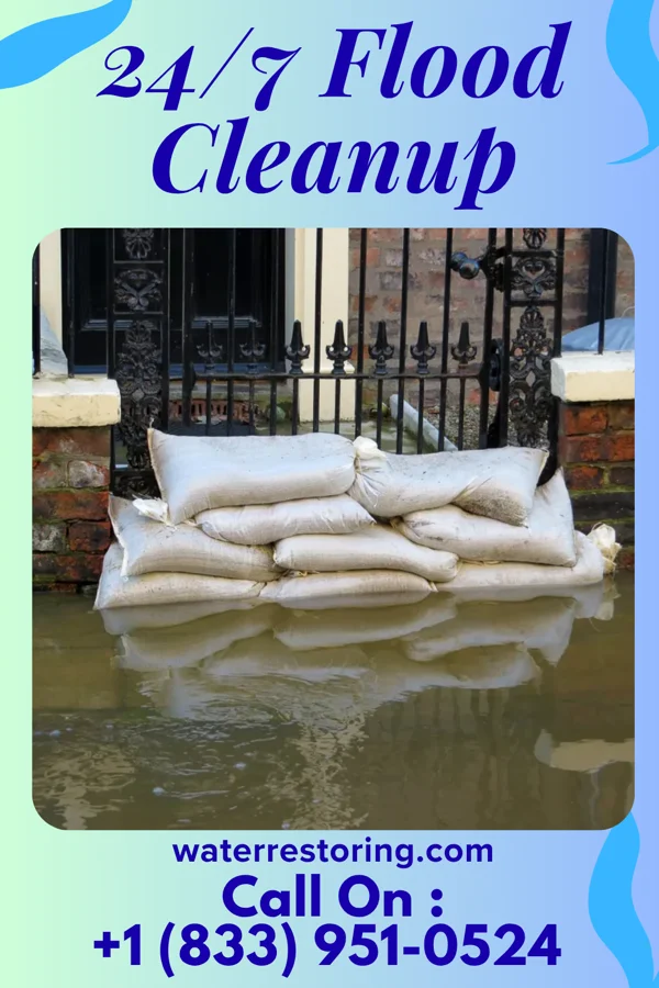 24/7 Flood Cleanup in Alston, GA