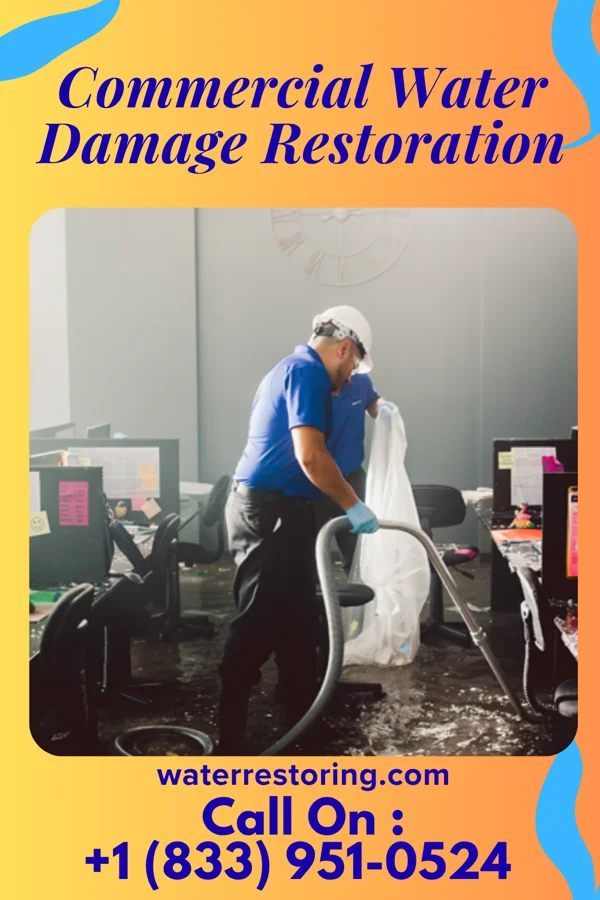 Commercial Water Damage Restoration in Alston, GA