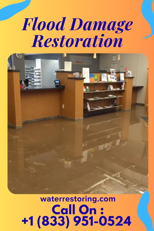 Flood Damage Restoration in Alston, GA