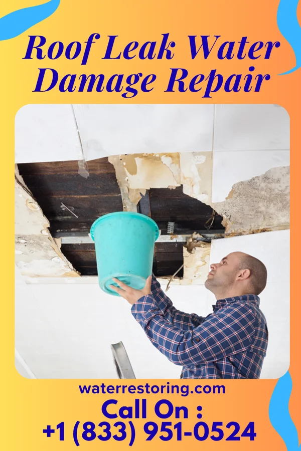 Roof Leak Water Damage Repair in Alston, GA