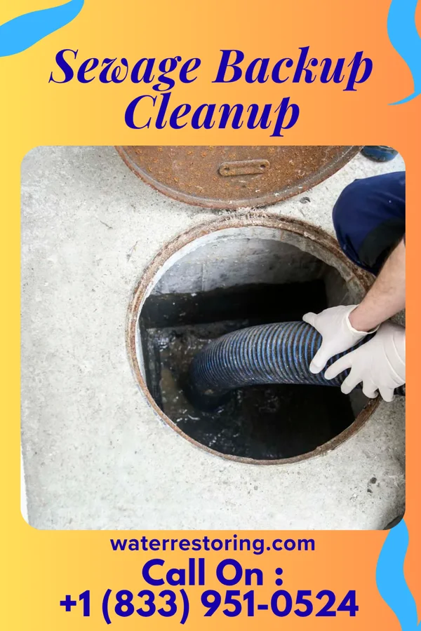 Sewage Backup Cleanup in Alston, GA