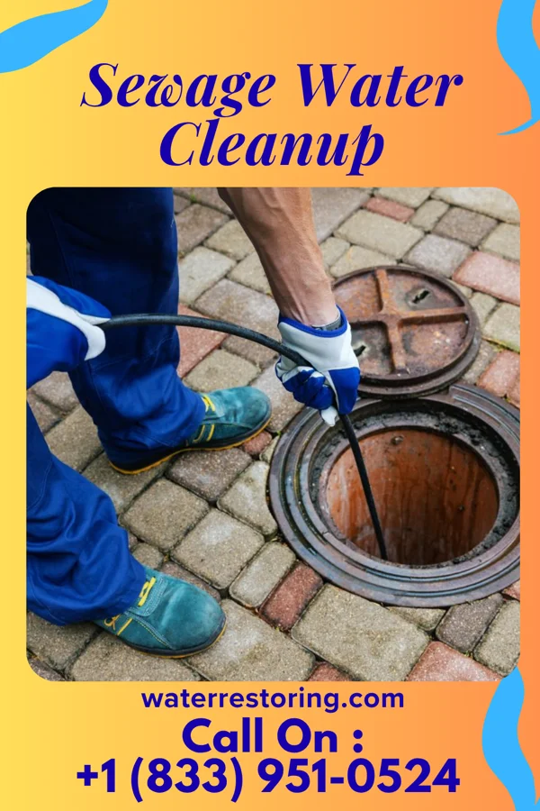 Sewage Water Cleanup in Alston, GA