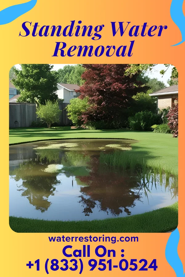 Standing Water Removal in Alston, GA